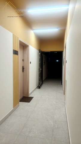 Mieszkanie Wynajem Łódź Dowborczyków 11